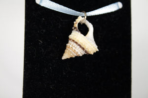 Seashell Pendant (Various Designs)