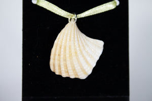 Seashell Pendant (Various Designs)