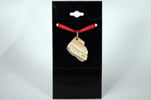 Seashell Pendant (Various Designs)