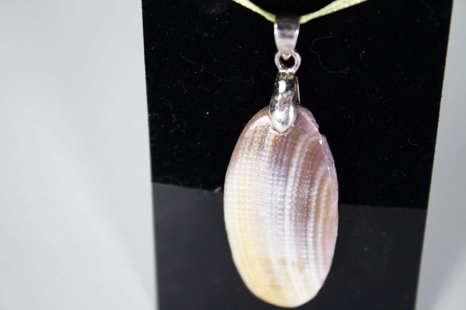 Seashell Pendant (Various Designs)