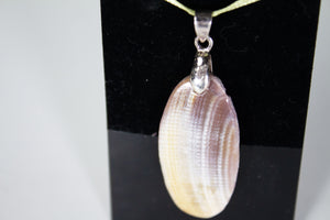 Seashell Pendant (Various Designs)