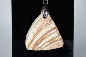 Seashell Pendant (Various Designs)