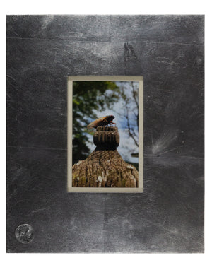Cicada: King of the Post