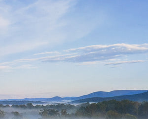 Misty Morn