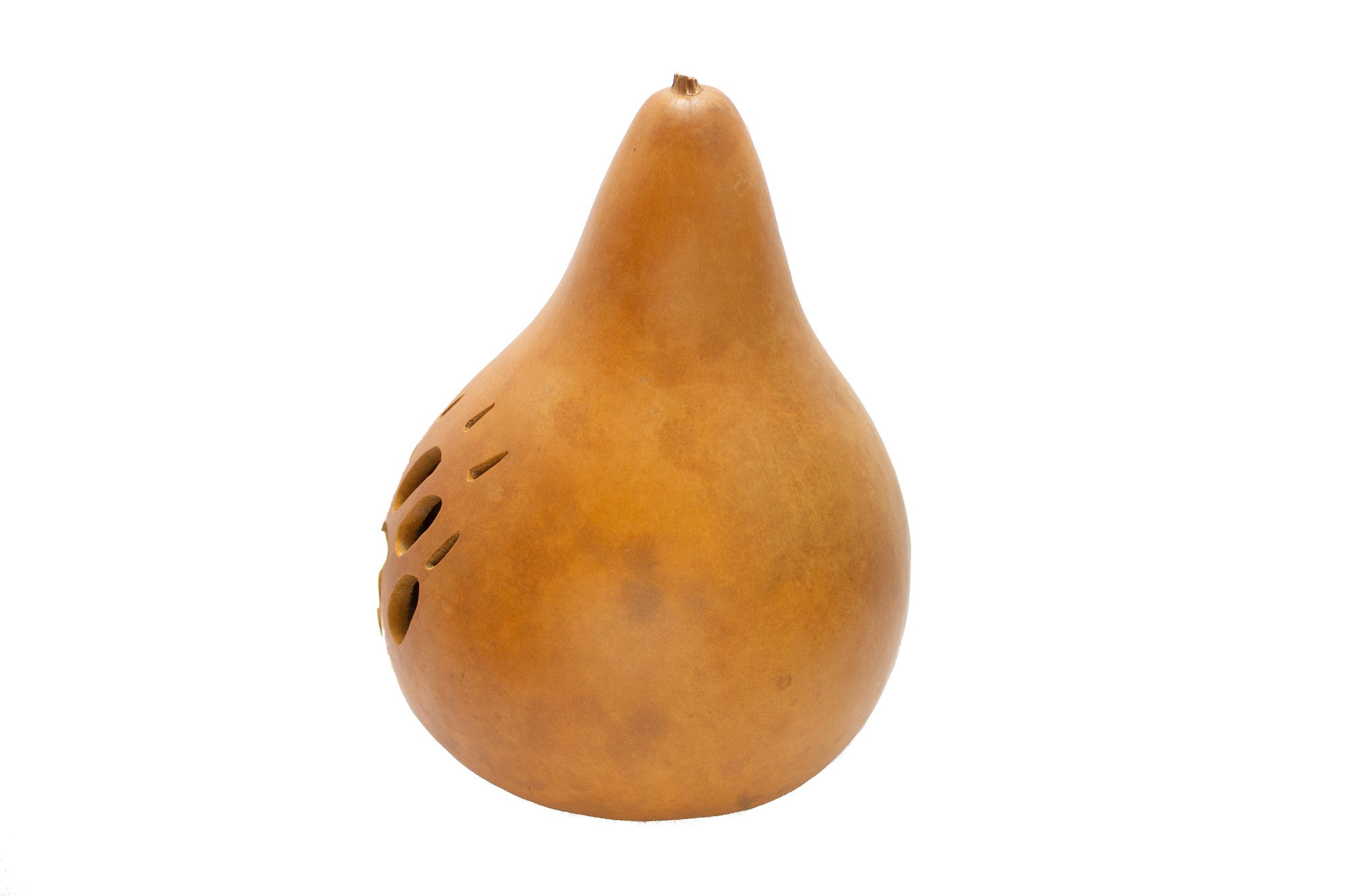 Natural Bear Claw Gourd