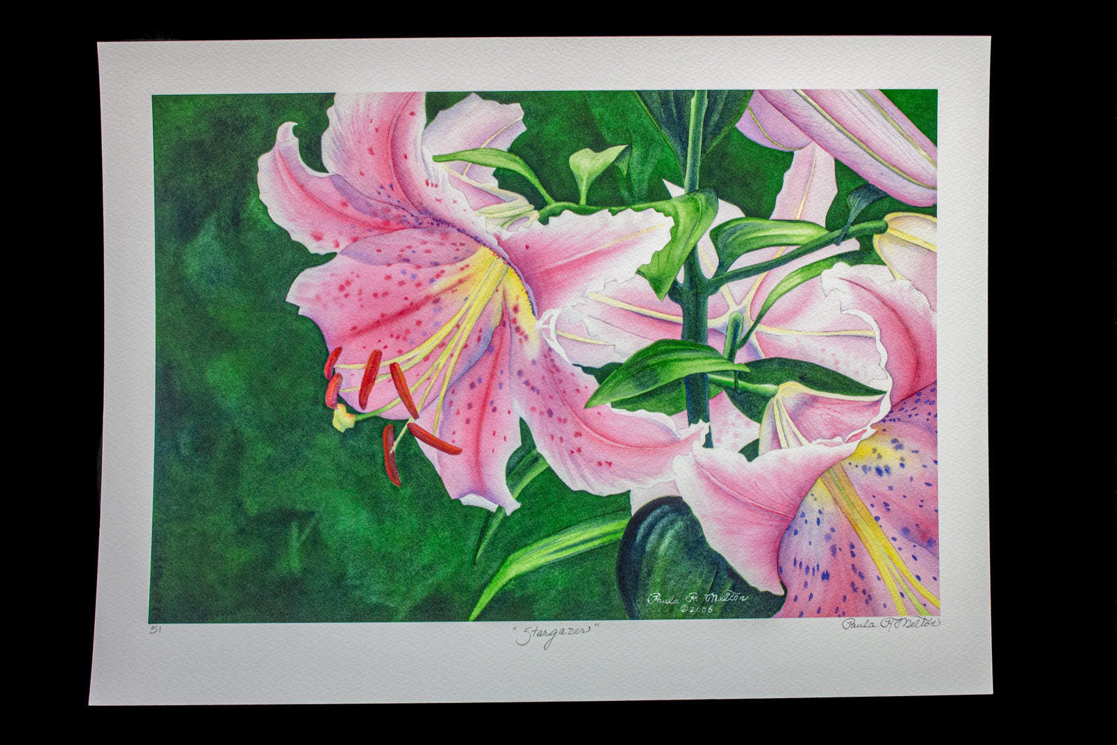 Stargazer Giclée Print