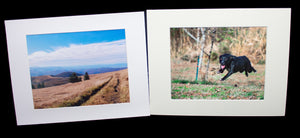 11x 14 Matted Prints