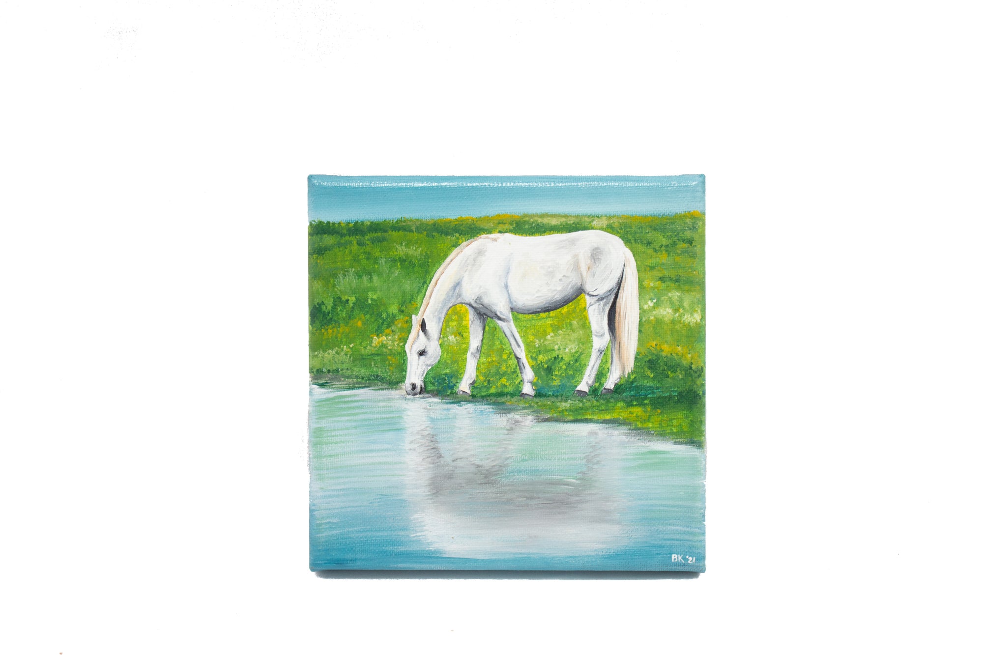 Horse At Pond