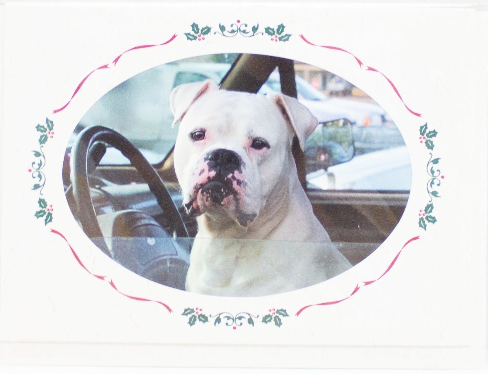 Dog Photo Card (Various)