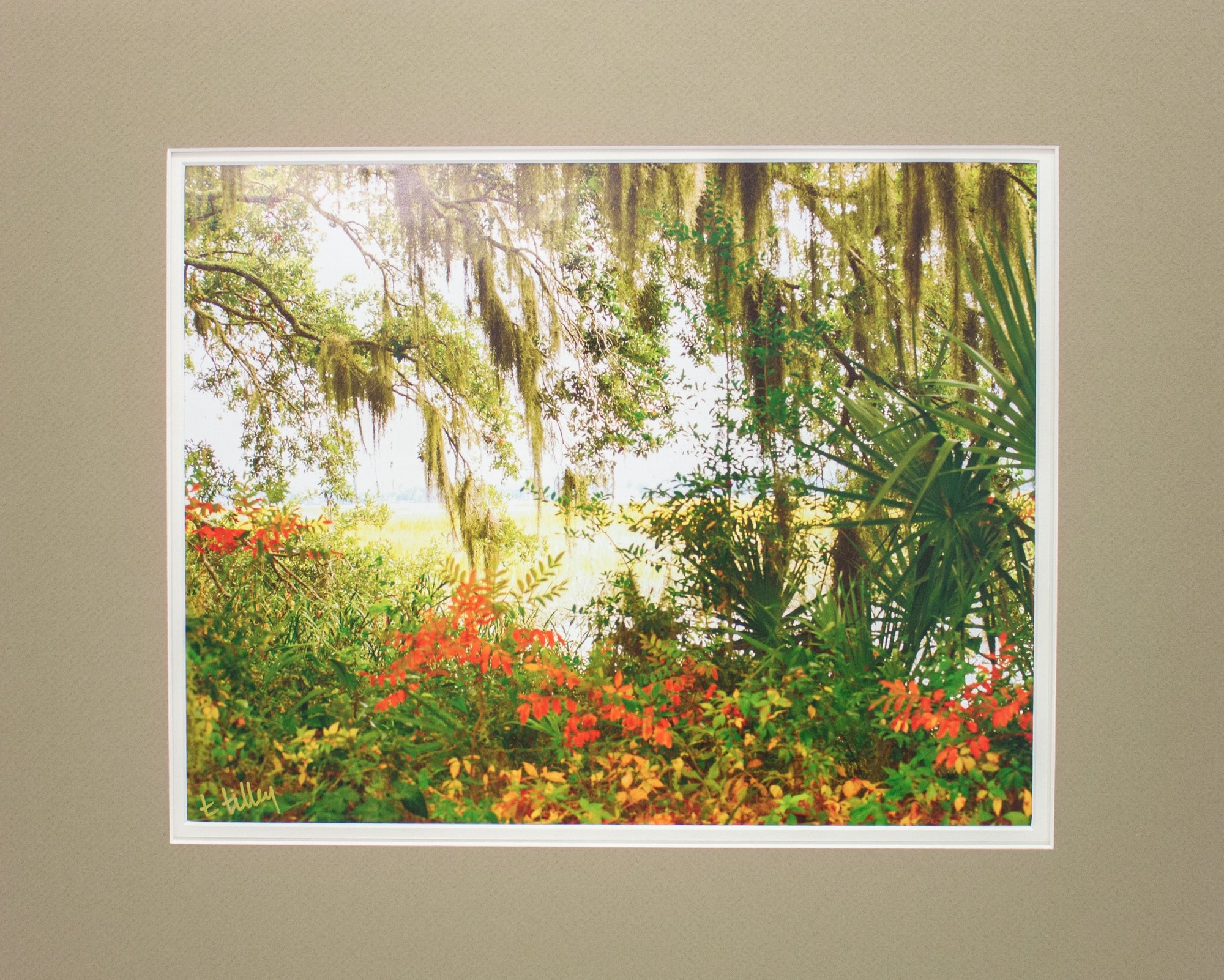 "Low Country" Matted Print (16x20)