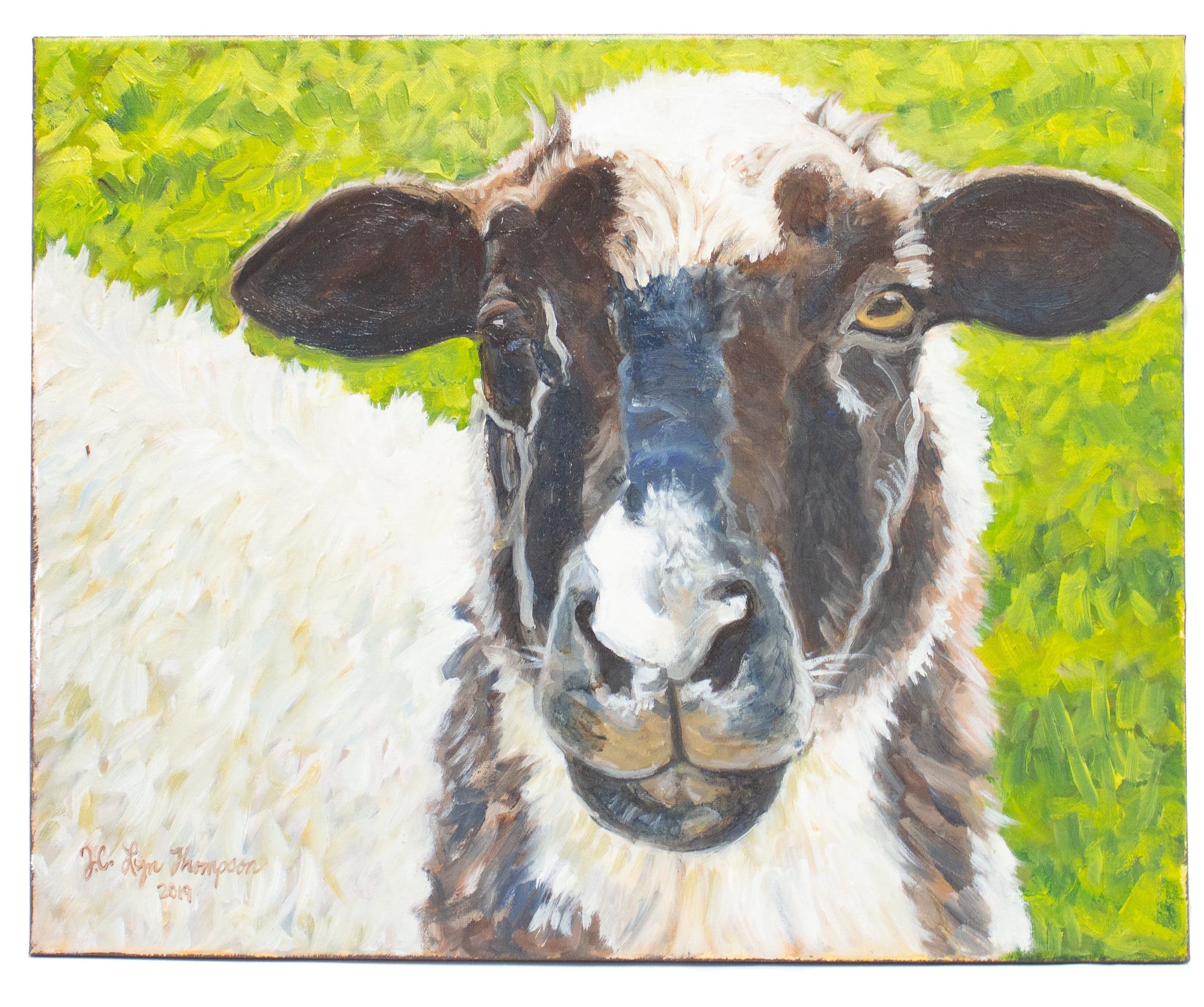 "Daisy Mae" Sheep 20x16 Painting