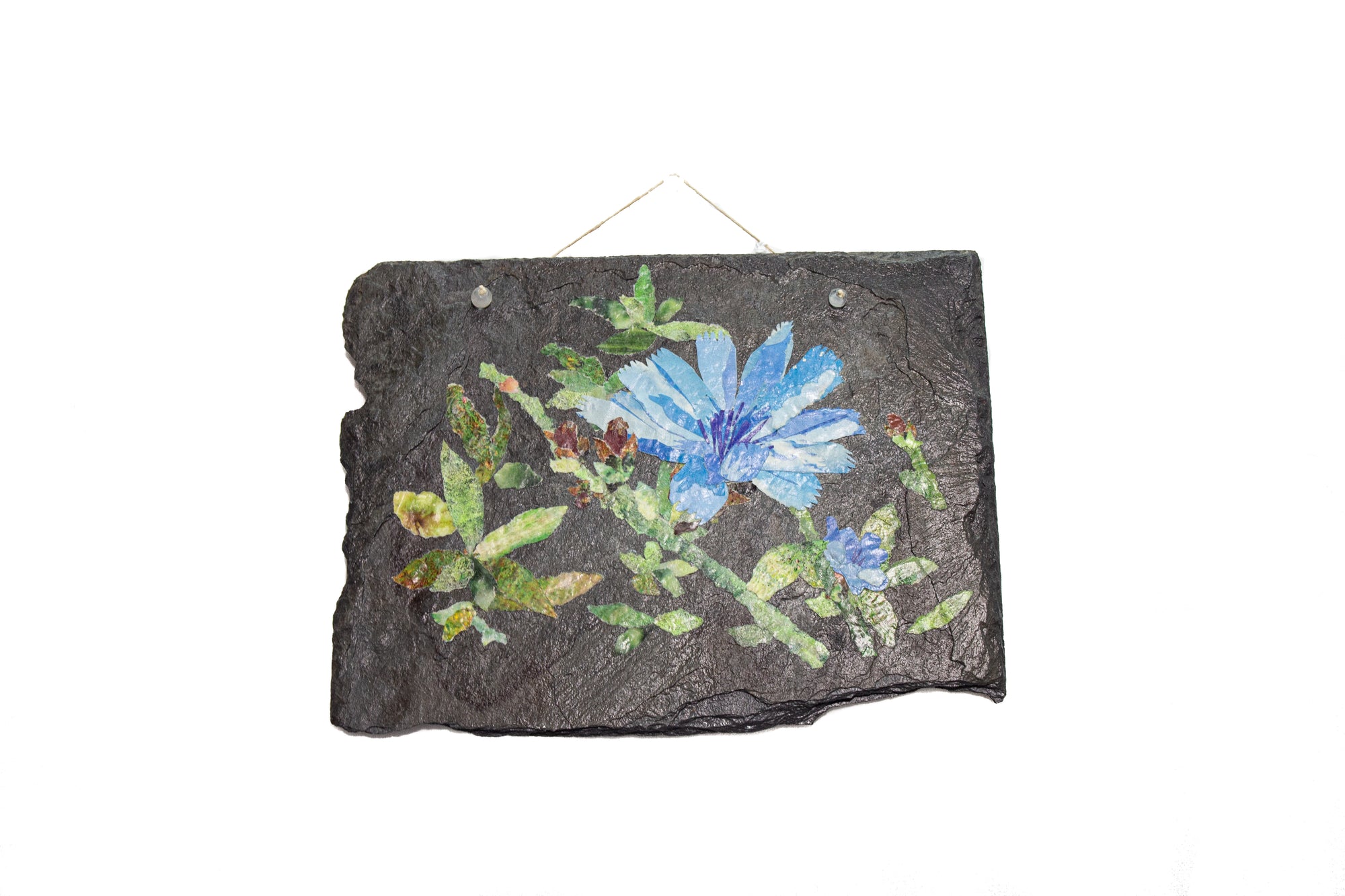 Chicory Flower on Slate (Pick Up or In Person Purchase Only)