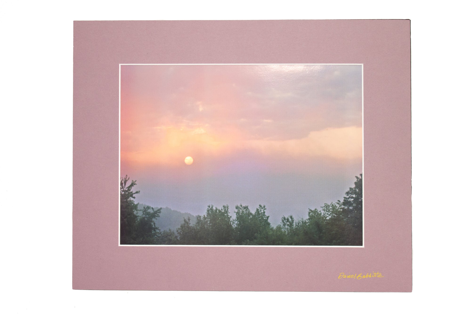 Dairel Bobbitte Nature Photography Prints - Matted 15x12