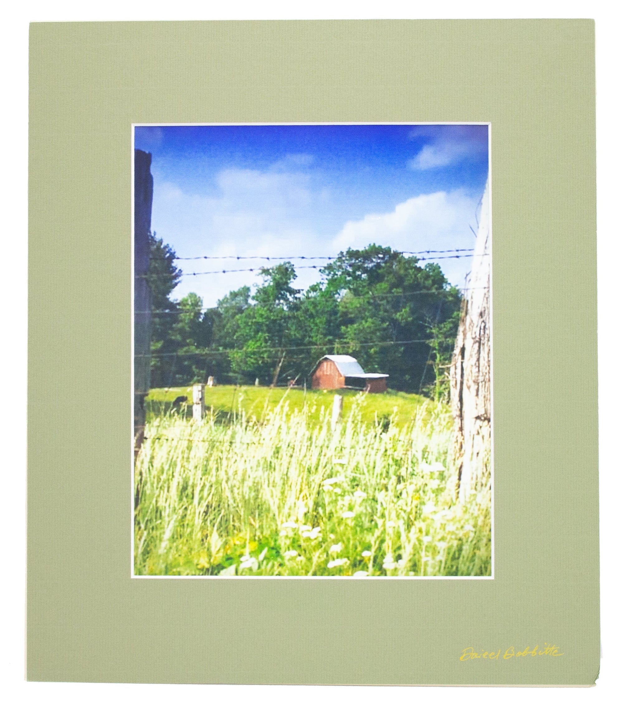 Nature Photography Prints - Matted 12x14