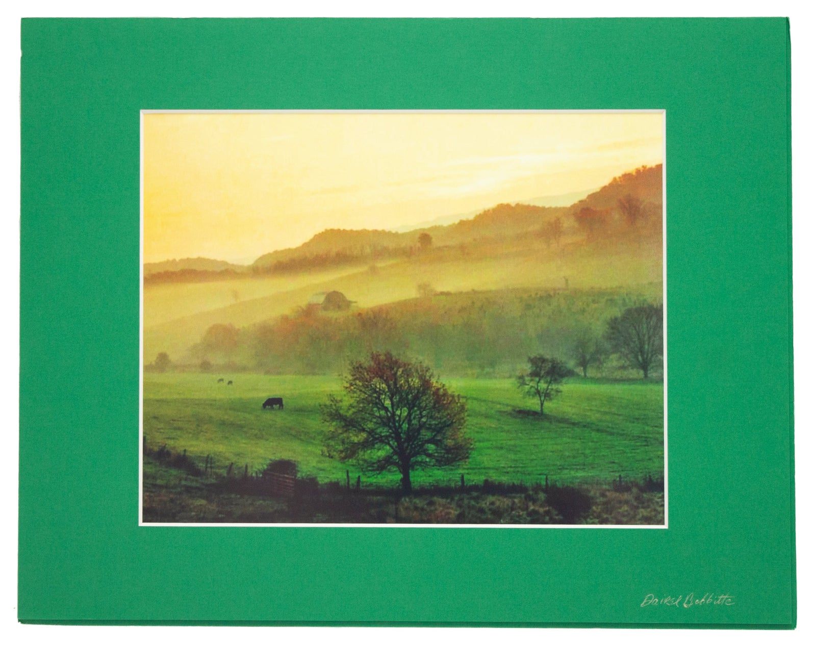 Dairel Bobbitte Nature Photography Prints - Matted 14x11