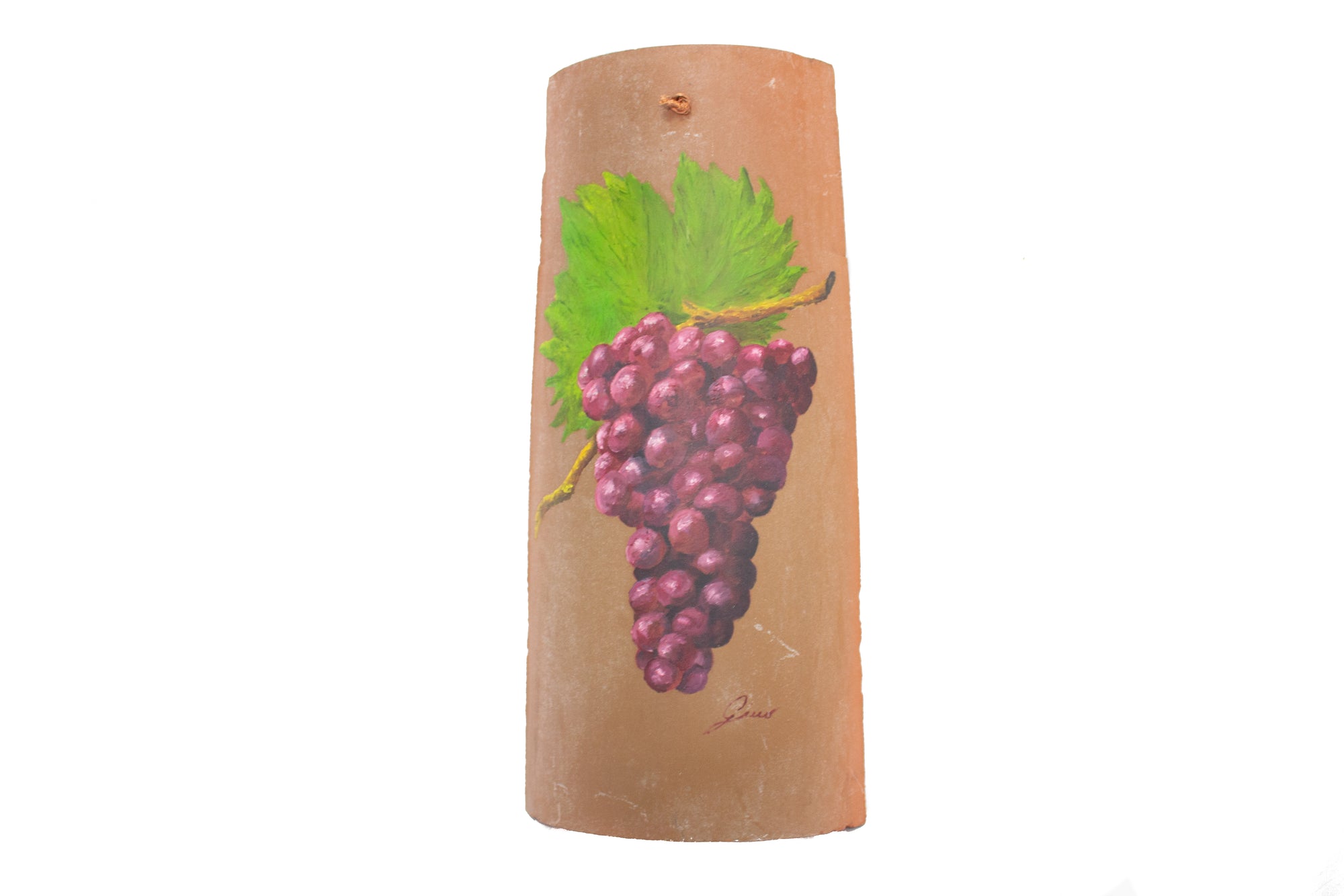 Grapes on Terra Cotta Painting