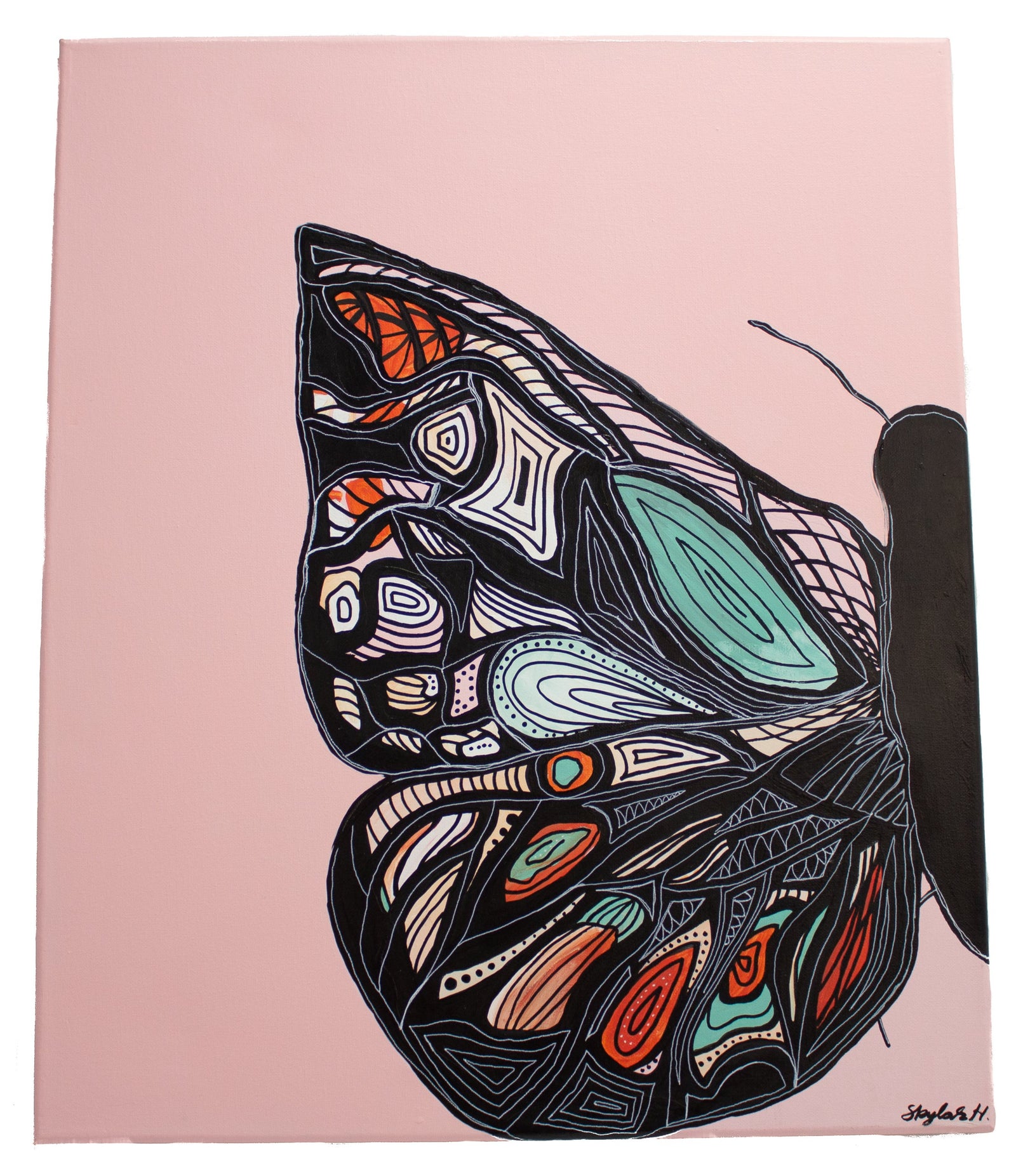 Beauty of the Butterfly