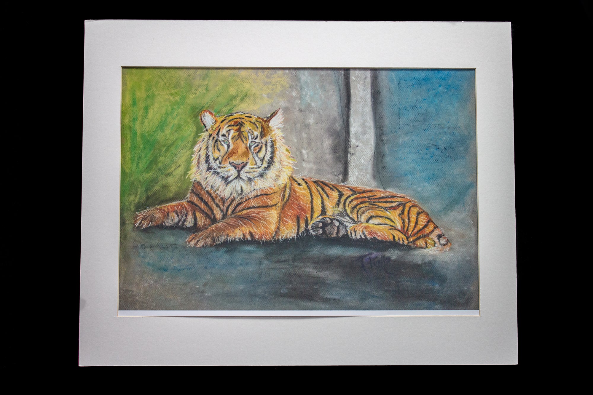 Tiger Print (Matted 20x16)