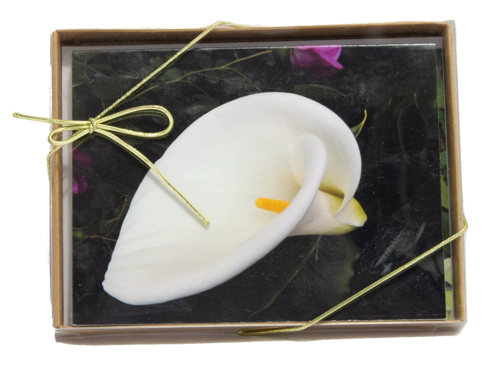 Garden Variety Note Cards (5PK)