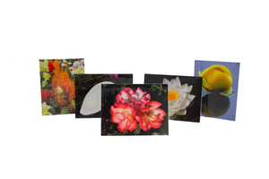 Garden Variety Note Cards (5PK)