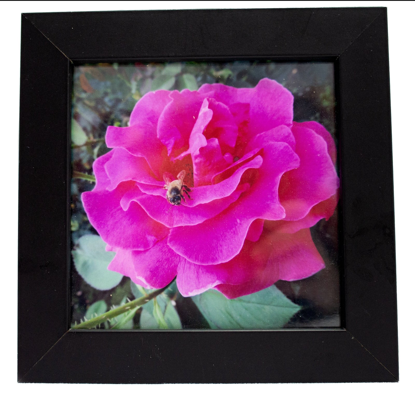 Floral Squares (Framed)