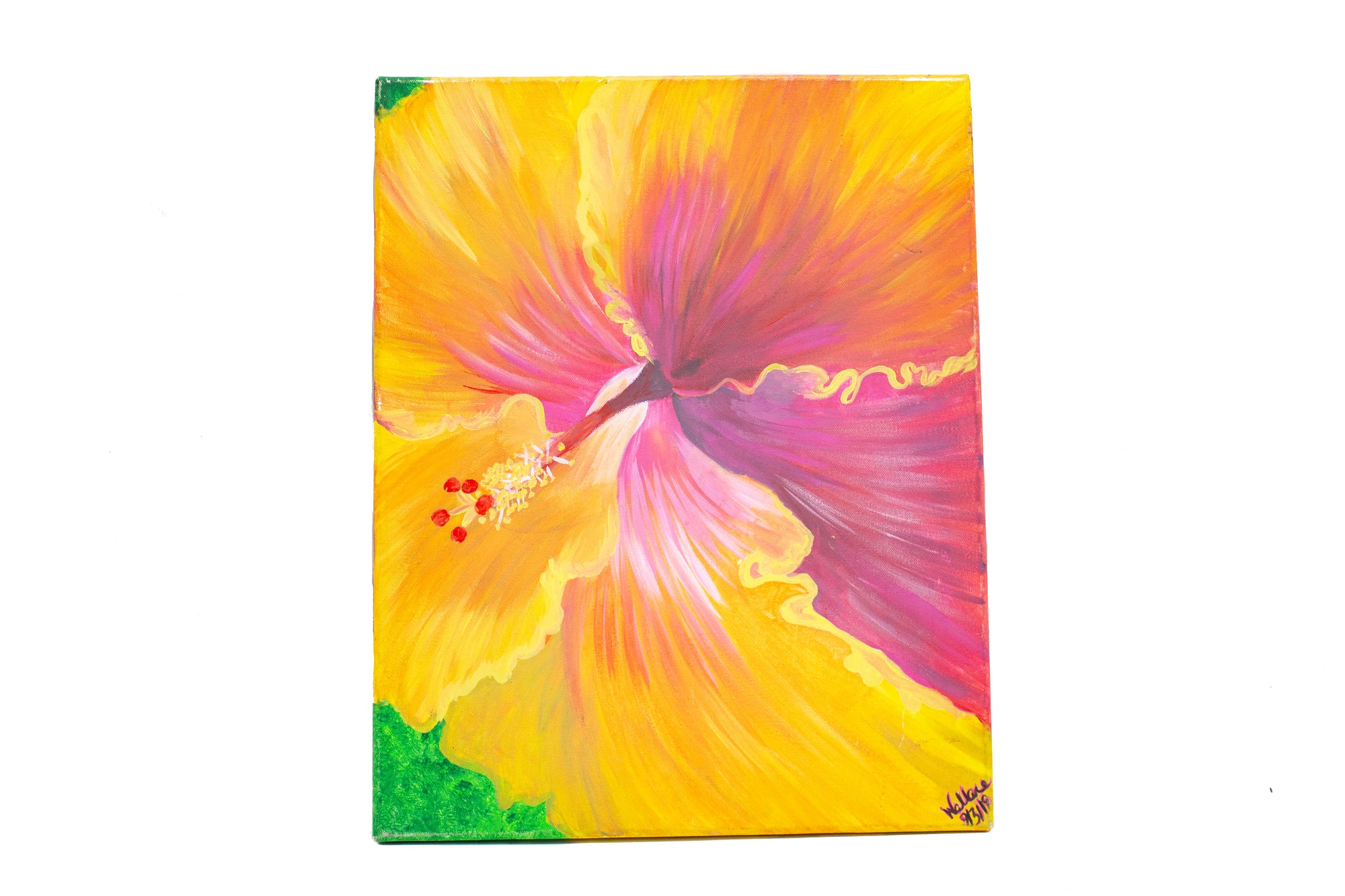 "Hibiscus" Acrylic 16x20