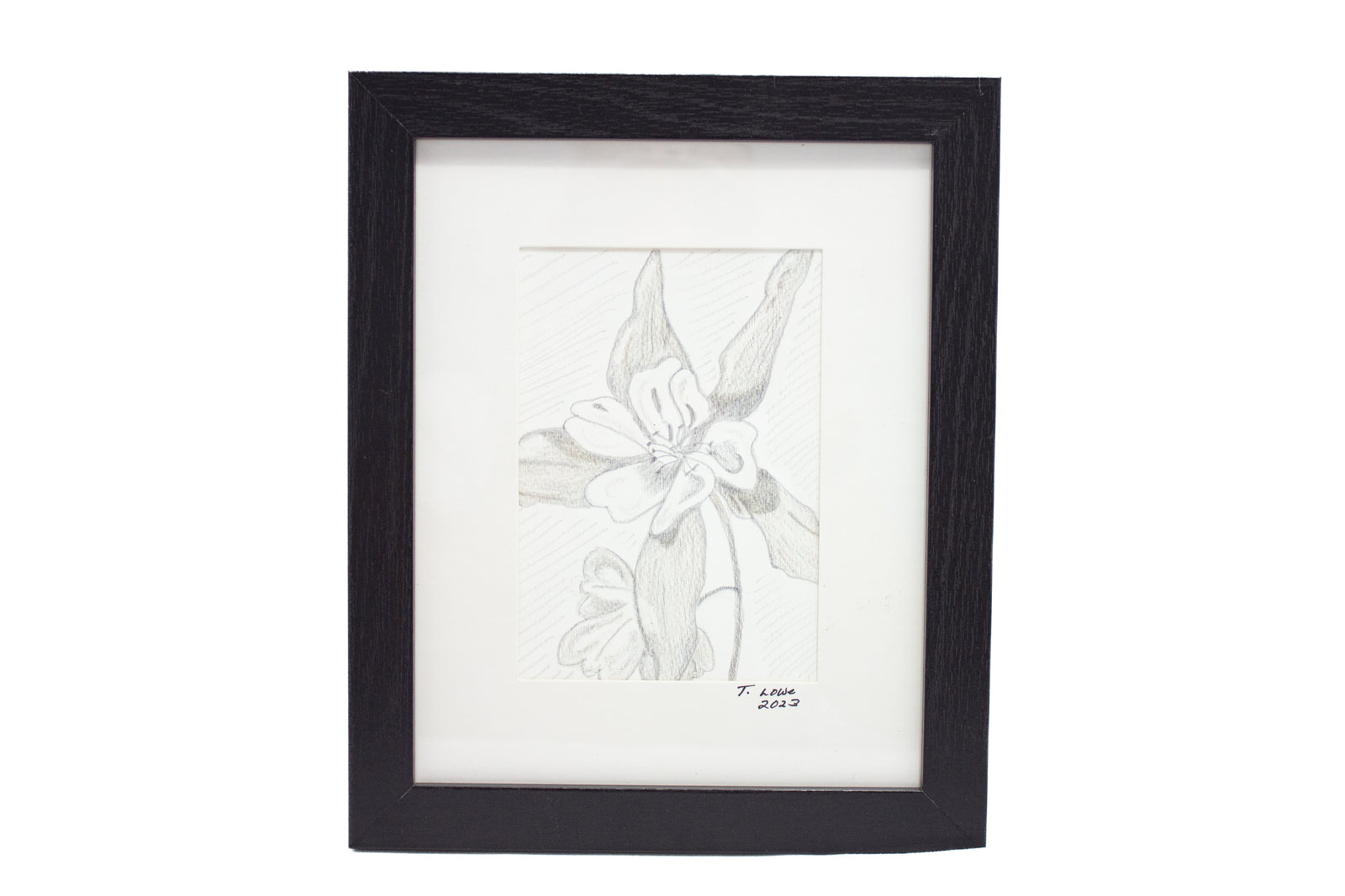 #10 Columbine Flower