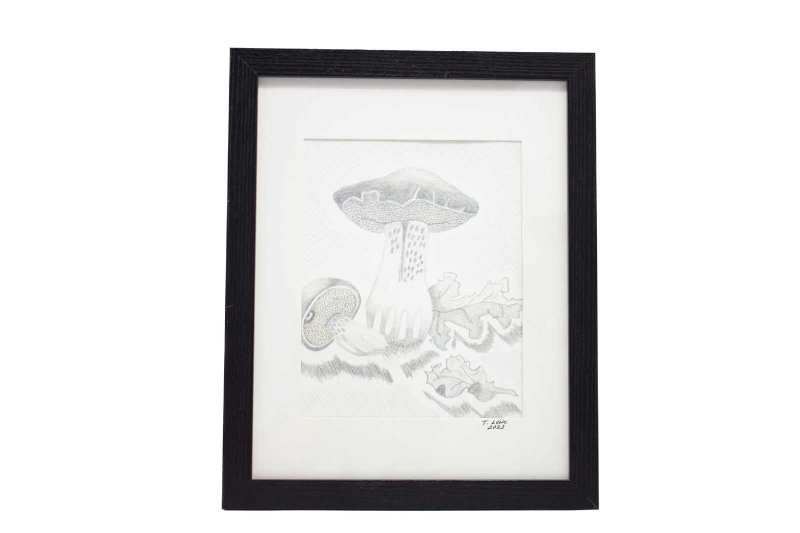 #7 Mushrooms