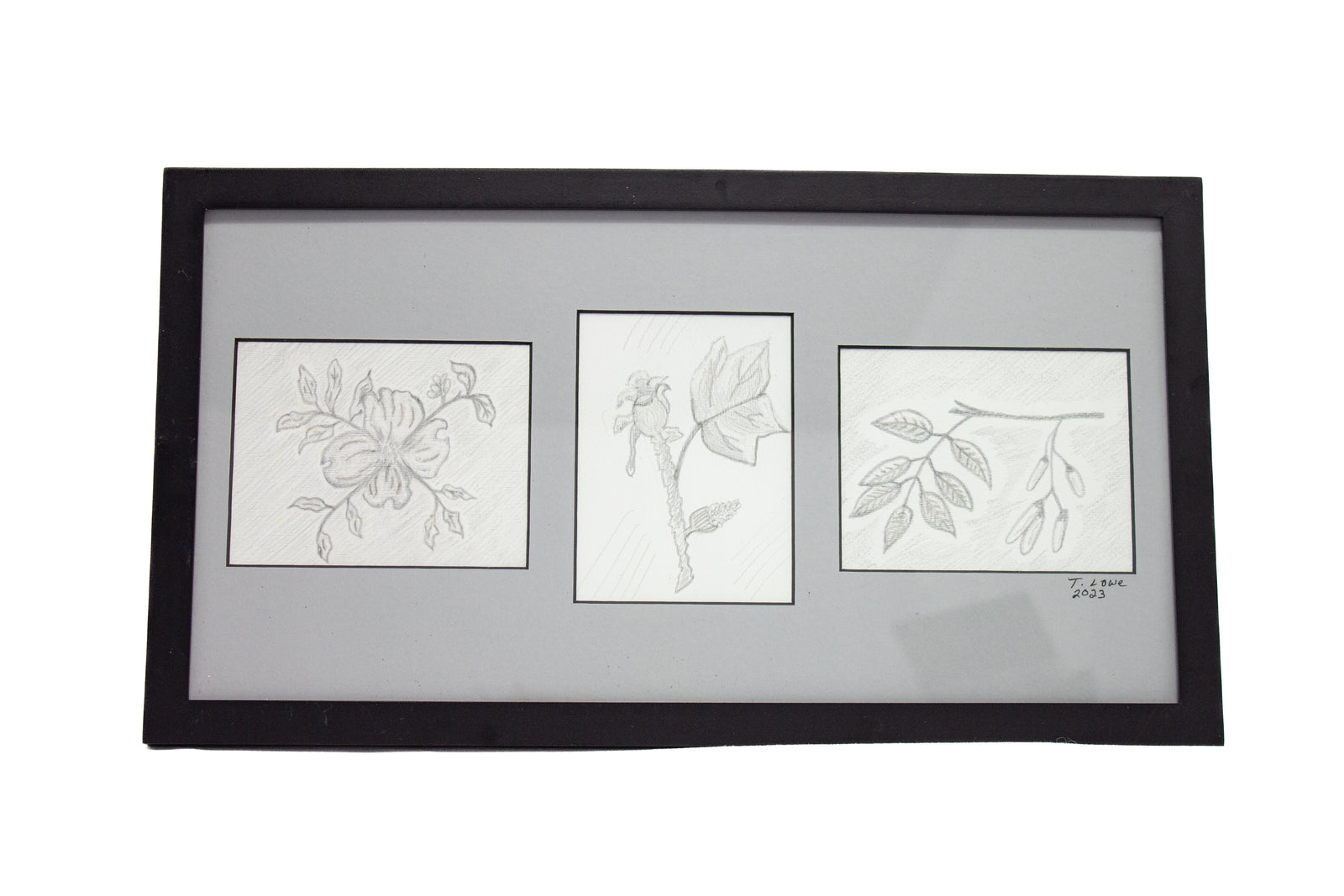 #4 Dogwood/Tulip Tree/White Ash