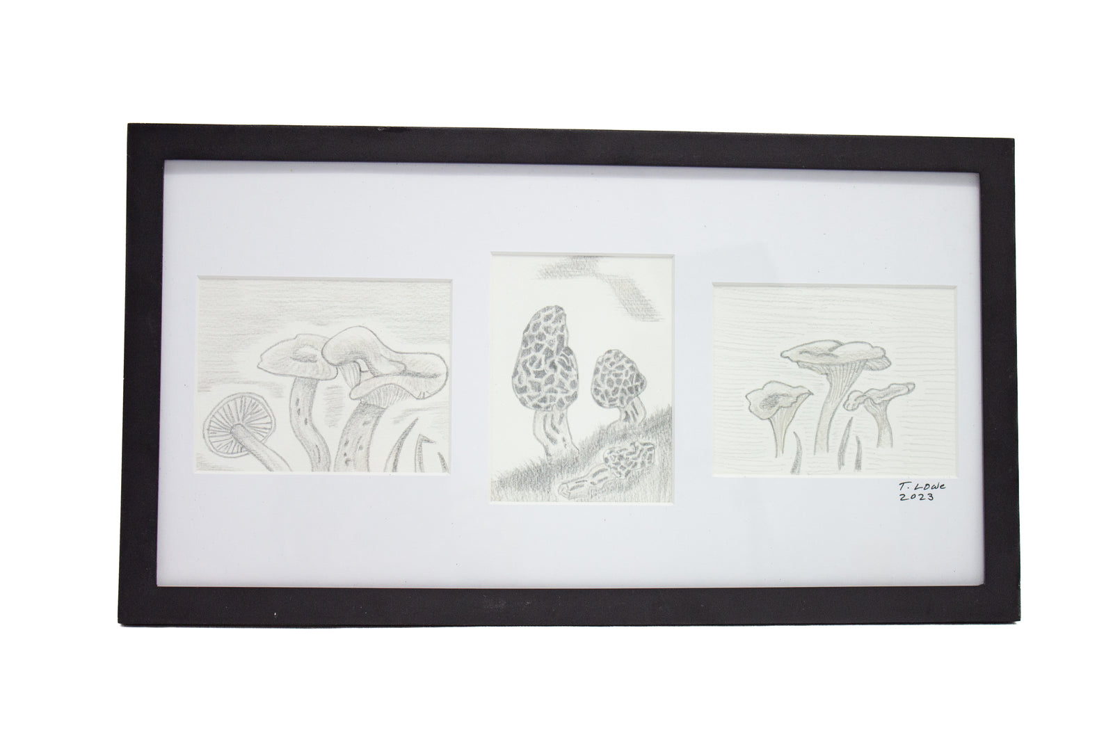 #3 Lactarius/Morel/Chanterelle