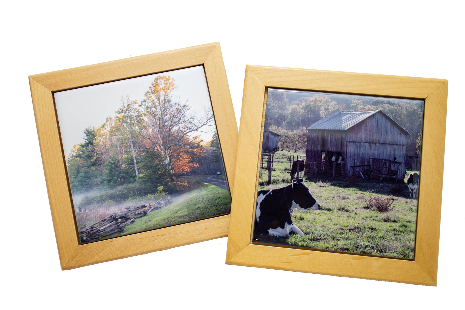 Large Photo Trivets