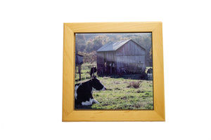 Large Photo Trivets