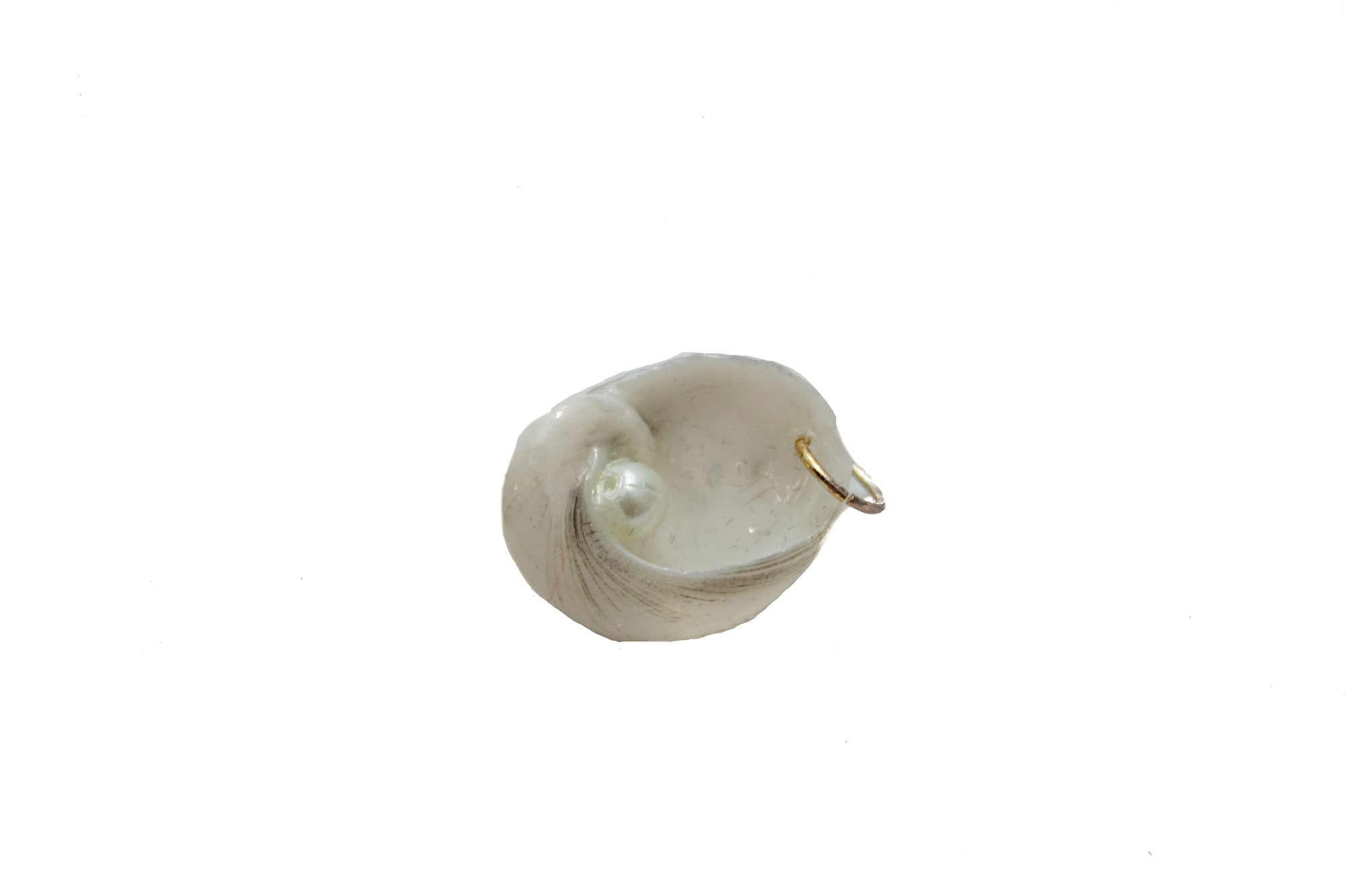 Seashell Pendant